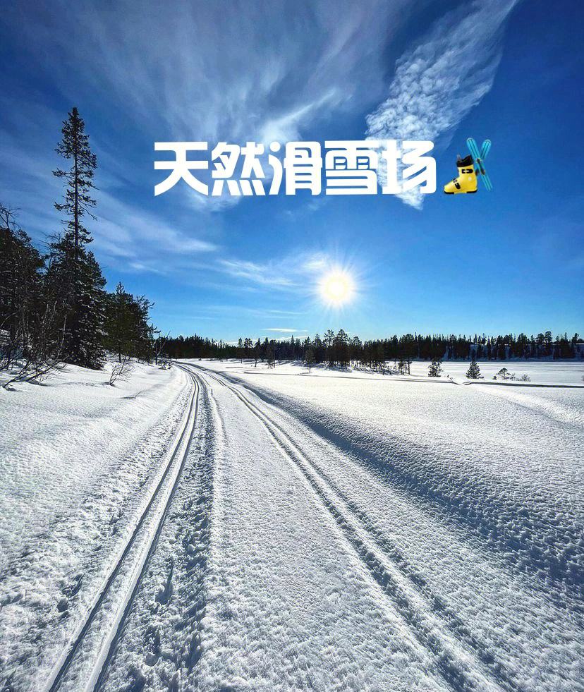 挪威滑雪健将夺得银牌，实至名归的简单介绍